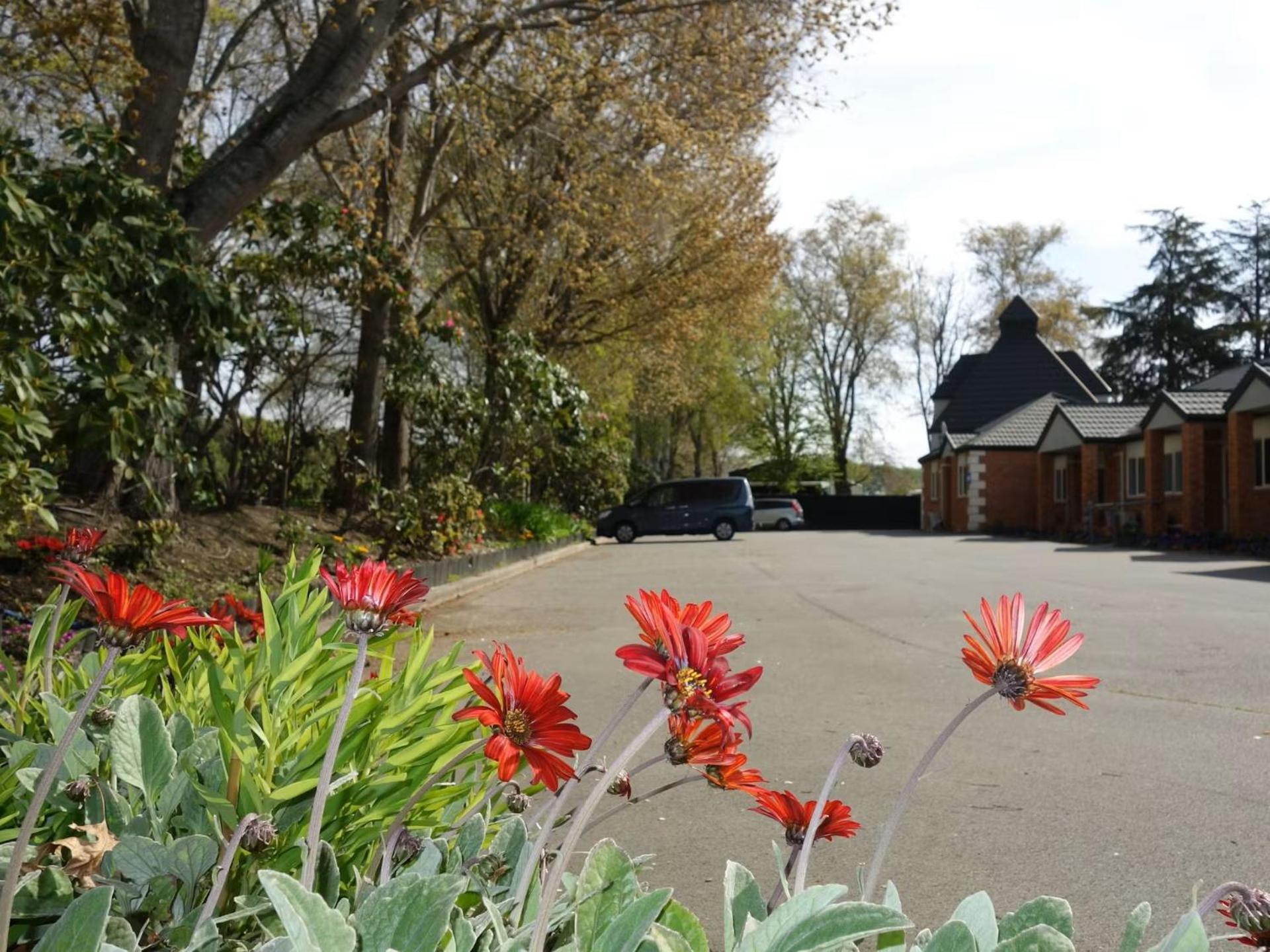 Northwood Motor Lodge Christchurch Ngoại thất bức ảnh