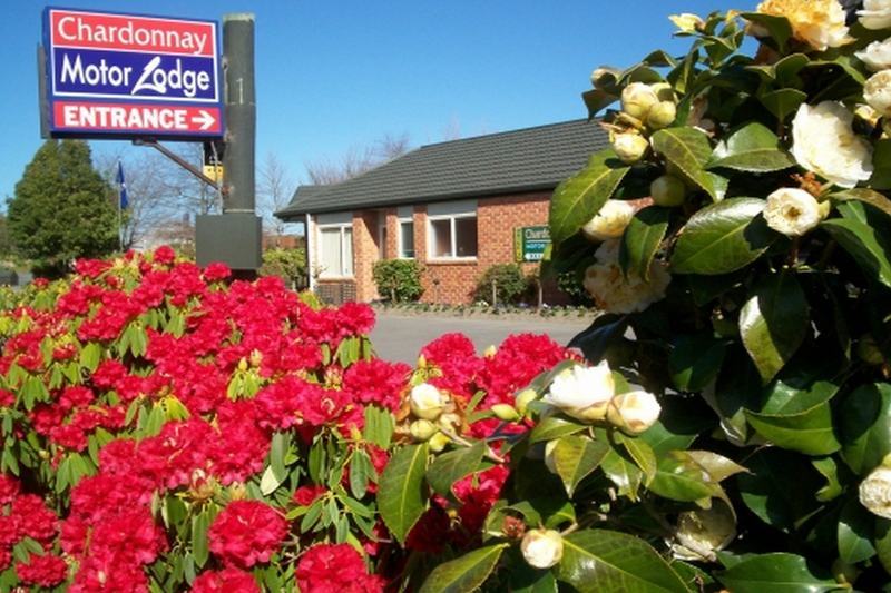 Northwood Motor Lodge Christchurch Ngoại thất bức ảnh